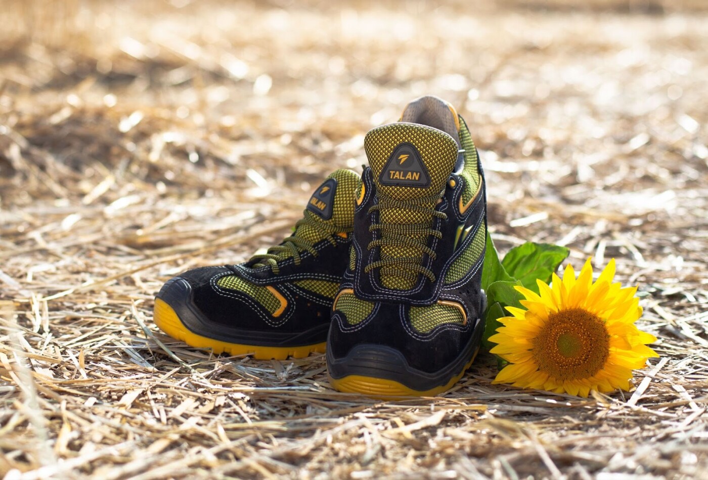 safety shoes